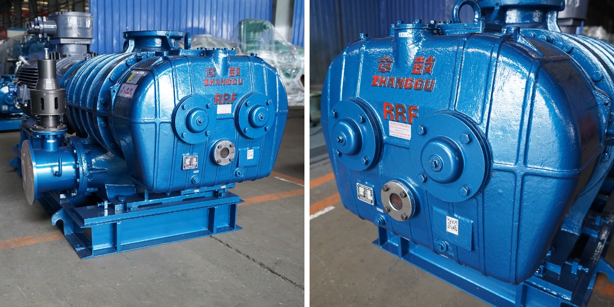 RR Roots Blower