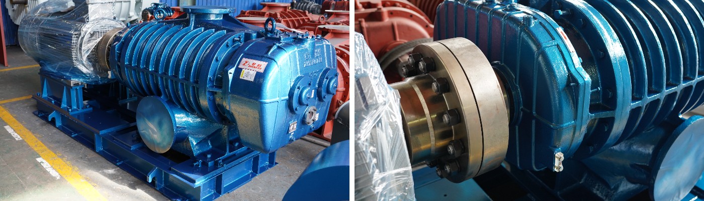 TRR Two-stage Roots Blower