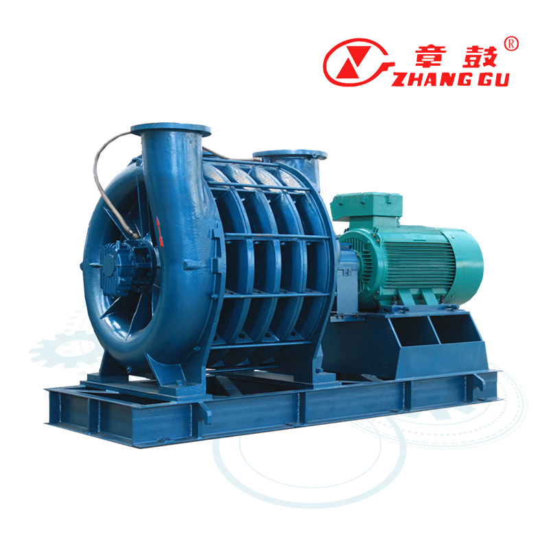 Multistage Centrifugal Pump