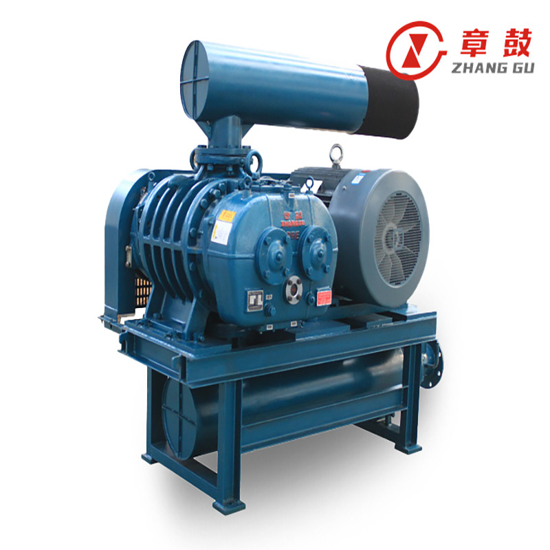 Rotary Blower Vacuum Pump