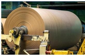 Rotary Screw Vacuum Pump  