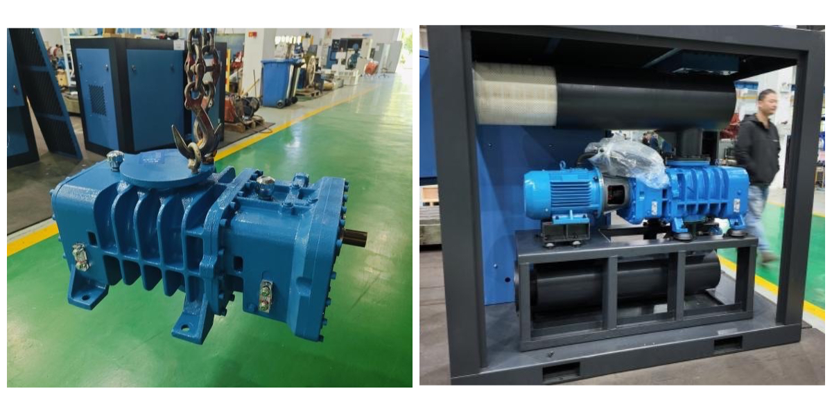 Roots Blower For Sale