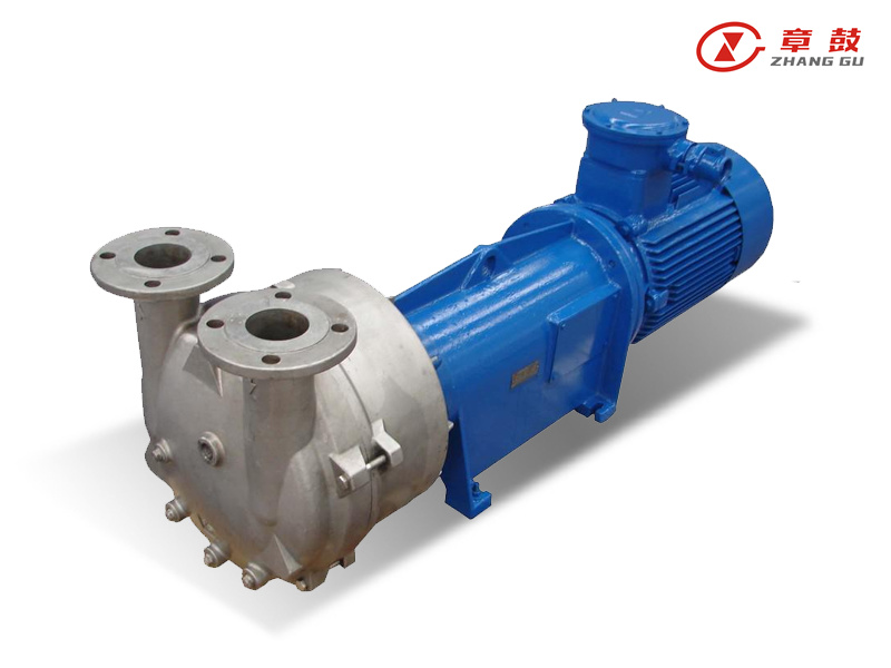 Liquid Ring Pump
