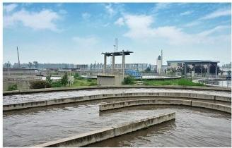 Rotary Screw Vacuum Pump  