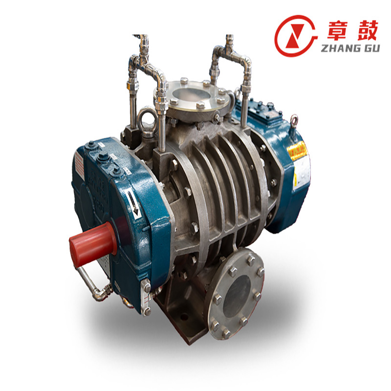 Steam Roots Compressor