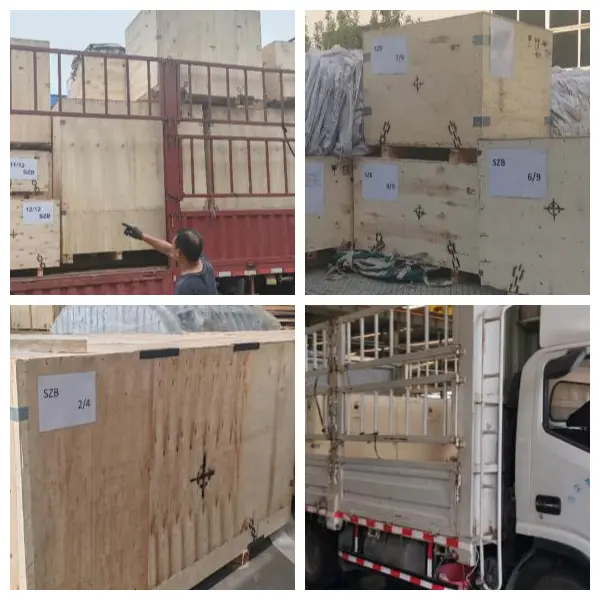 Siri RR Roots Blower