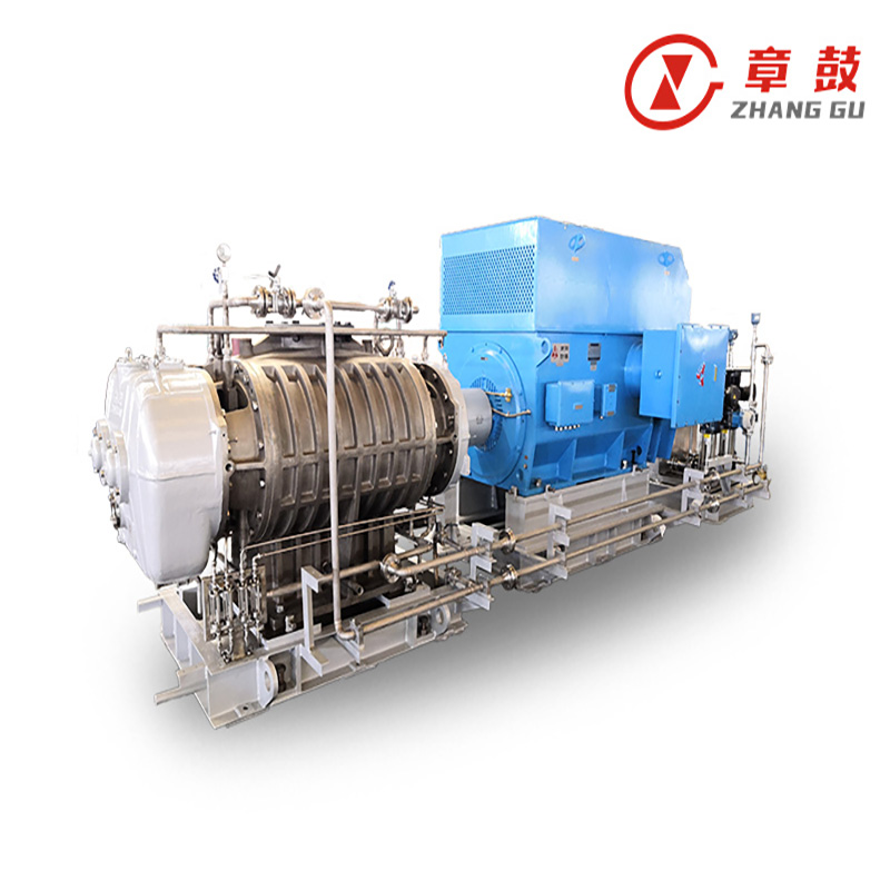 Special Gas Roots Blower