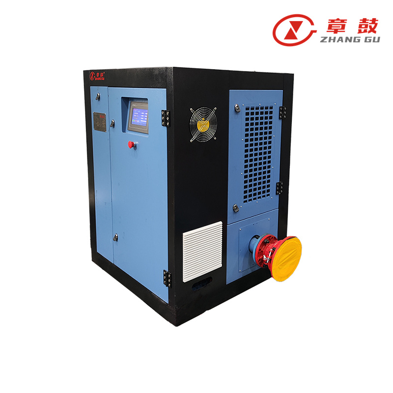 Rotary Screw Vacuum Pump  