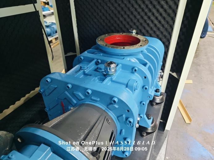 Roots Blower For Sale