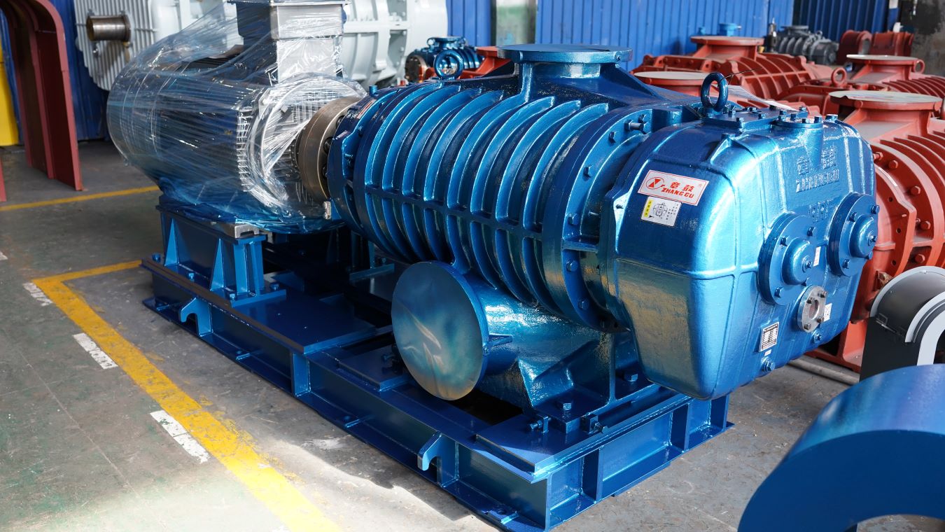 RR Series Roots Blower Pump